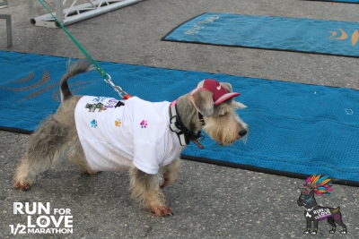 Run for Love 2024